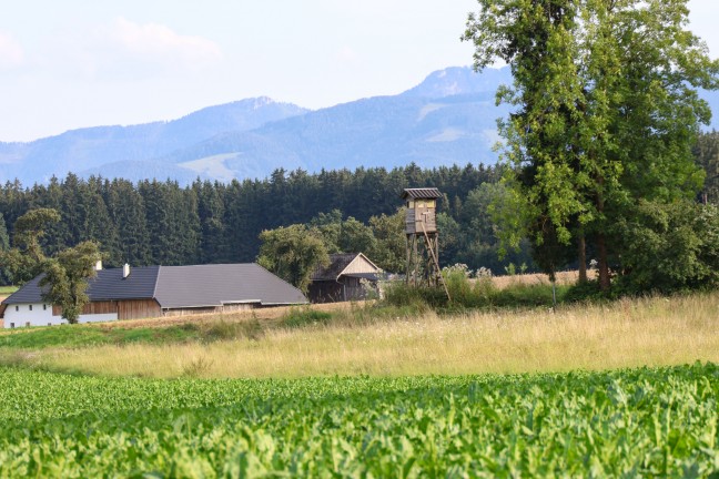 Sierning: Einsatzkrfte zu Personenrettung von einem Jgerhochstand alarmiert