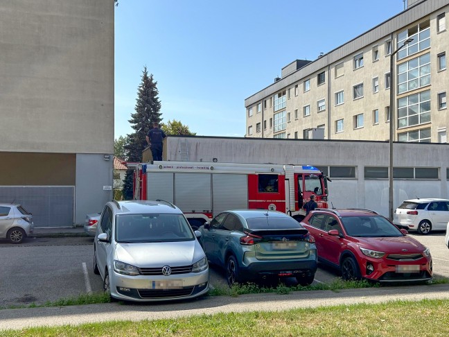 Katze auf Dach: Einsatzkrfte der Feuerwehr bei Tierrettung in Wels-Pernau im Einsatz