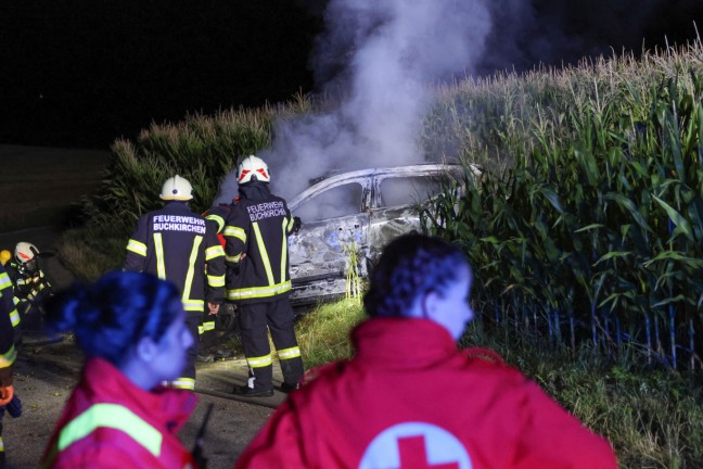 Identitt geklrt: Lenker (18) und Beifahrerin (17) starben bei Autobrand nach Unfall in Buchkirchen