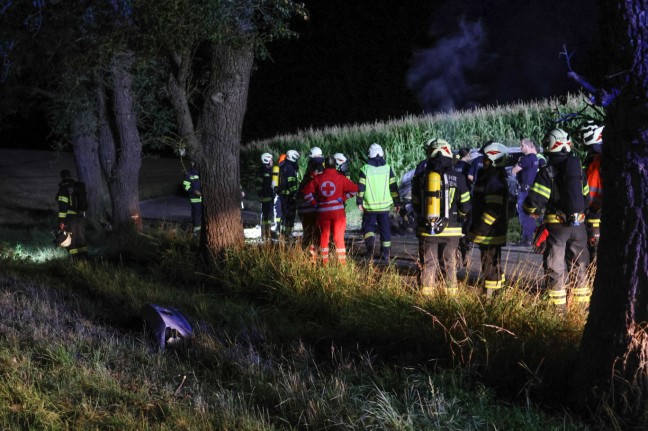 Identitt geklrt: Lenker (18) und Beifahrerin (17) starben bei Autobrand nach Unfall in Buchkirchen