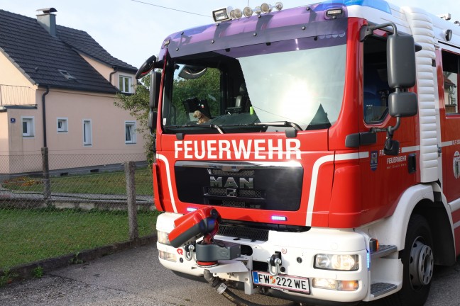 Mll verbrannt: Feuerwehr und Polizei in Wels-Schafwiesen im Einsatz