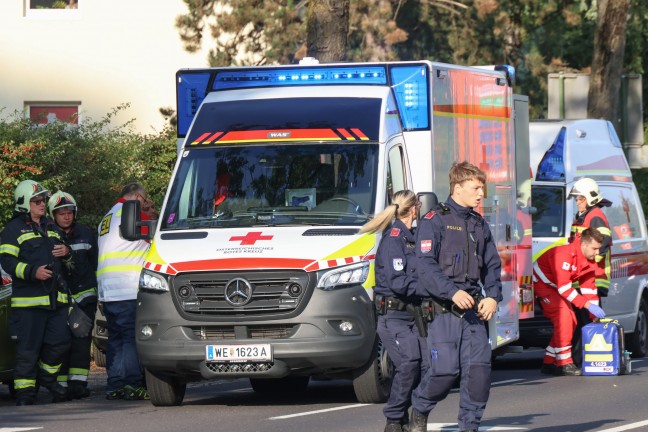 Tdliche Brandverletzungen: Einsatzkrfte nach Brand in einer Wohnung in Wels-Lichtenegg im Einsatz