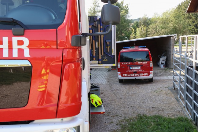 Feuerwehr bei Untersttzung einer Tierrztin in einem Pferdestall in Pennewang im Einsatz