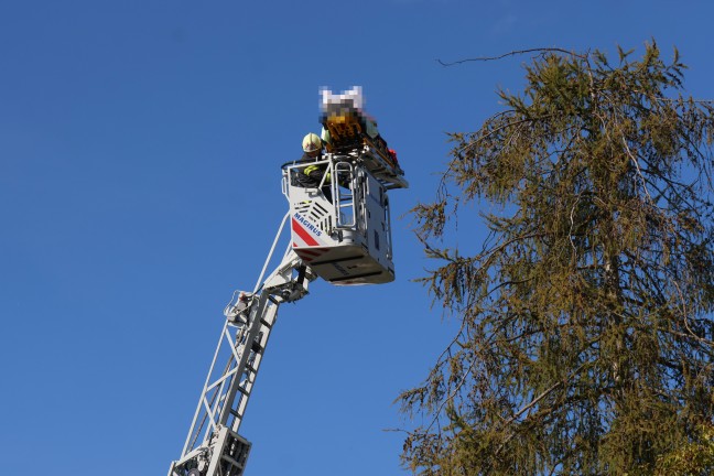 Personenrettung: Patient in Wels-Neustadt mit Drehleiter der Feuerwehr vom Dachboden gerettet