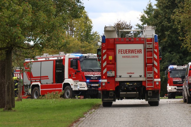 Neun Feuerwehren bei Brand in einem Hackschnitzelbunker in Hargelsberg im Einsatz