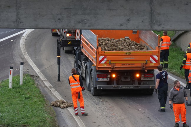 R�benernte auf Autobahn: LKW verlor Teil seiner Ladung auf Auffahrt zur Innkreisautobahn bei Wels