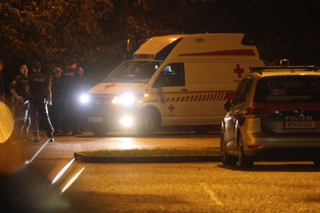 Einsatzkr�fte der Feuerwehr zu Person in Absturzgefahr in Wels-Lichtenegg alarmiert