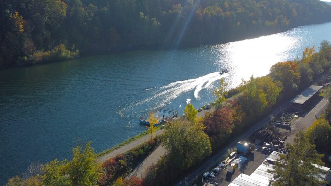 Erkrankter oder verletzter Schwan in Wels-Pernau durch Feuerwehr mittels Boot aus der Traun gerettet