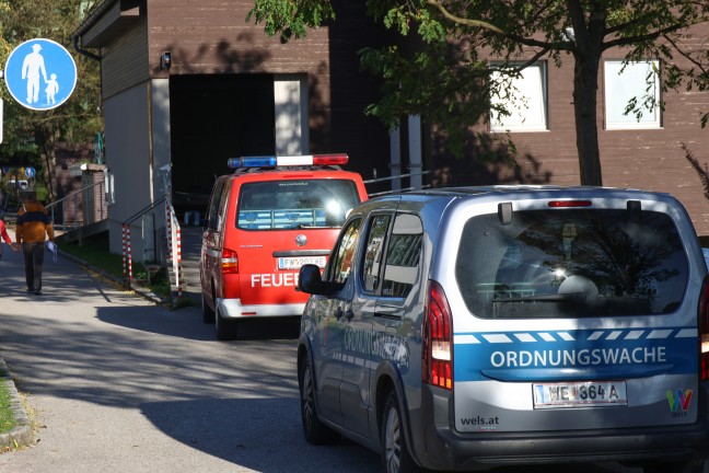 Erkrankter oder verletzter Schwan in Wels-Pernau durch Feuerwehr mittels Boot aus der Traun gerettet