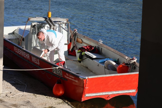 Erkrankter oder verletzter Schwan in Wels-Pernau durch Feuerwehr mittels Boot aus der Traun gerettet