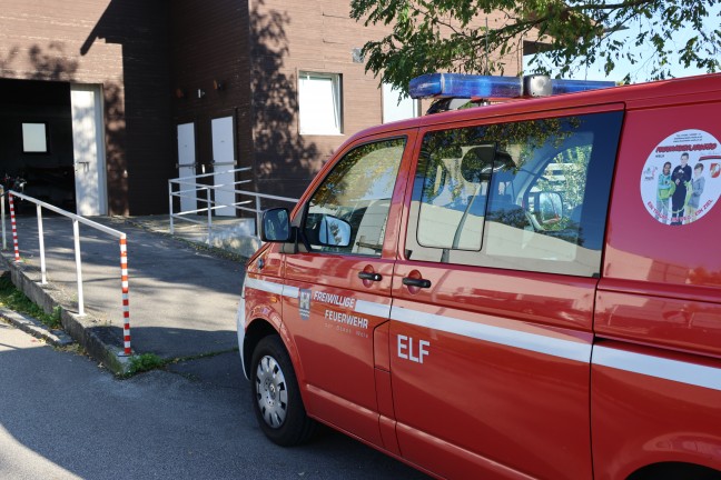 Erkrankter oder verletzter Schwan in Wels-Pernau durch Feuerwehr mittels Boot aus der Traun gerettet