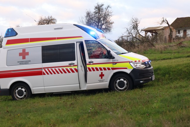 Rechtzeitig entdeckt: Brand in einem Stall eines Bauernhofes in St. Marienkirchen an der Polsenz