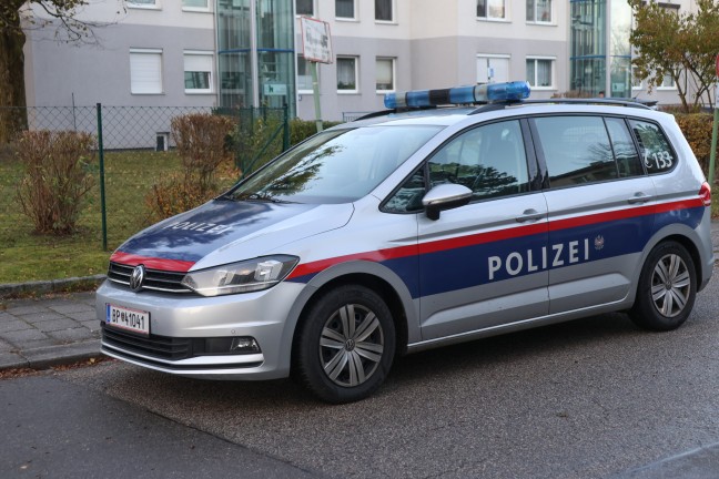 Brand einer Mlltonne in Wels-Lichtenegg sorgte fr Einsatz der Feuerwehr