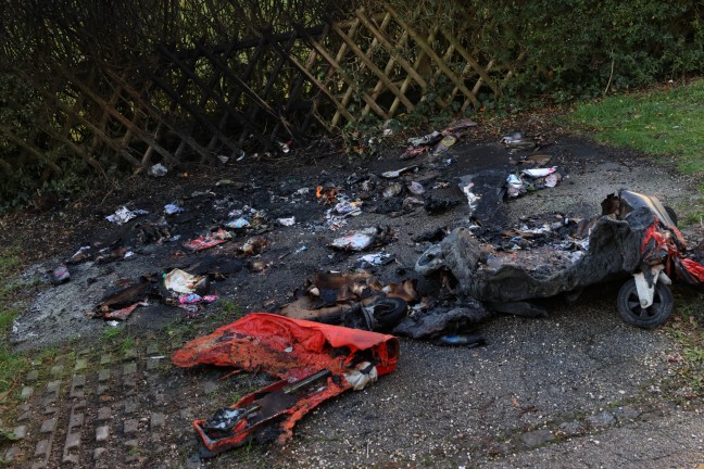 Brand eines Altpapiercontainers samt dahinter situierter Hecke in Wels-Lichtenegg