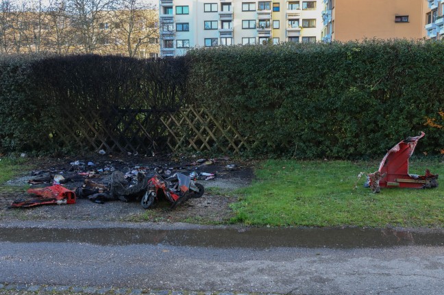 Brand eines Altpapiercontainers samt dahinter situierter Hecke in Wels-Lichtenegg