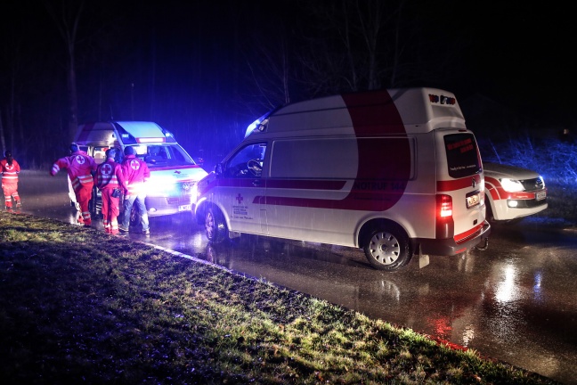 Fünf Verletzte bei Verkehrsunfall in Steinhaus
