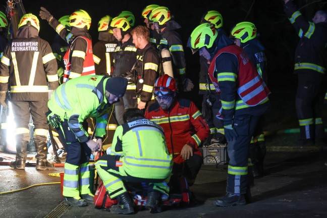Steinerkirchen an der Traun: Hund durch Feuerwehr mit Hhenrettern aus Jauchegrube gerettet