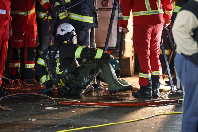 Steinerkirchen an der Traun: Hund durch Feuerwehr mit Hhenrettern aus Jauchegrube gerettet