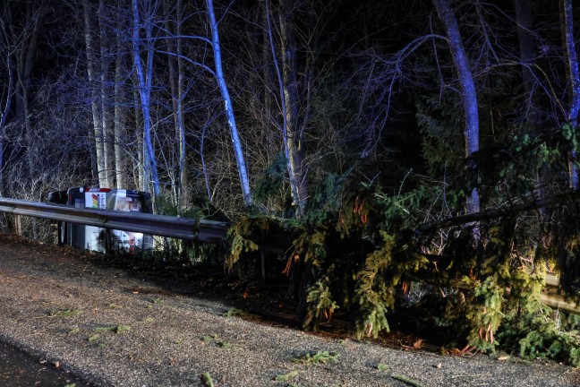 Kleintransporter bei Unfall in Kremsmnster hinter Leitschiene in ein Waldstck gestrzt