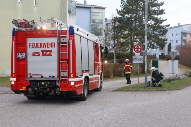 Brand einer M�lltonne bei einer M�llinsel in Wels-Lichtenegg
