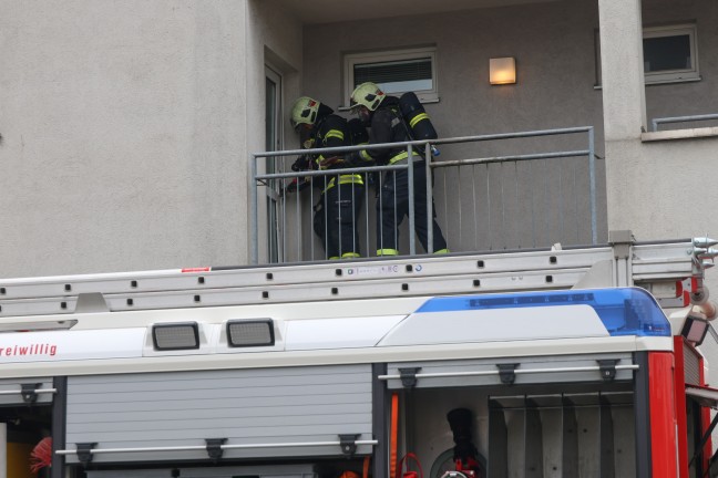 Wintergarten in Vollbrand: Flammen schlugen aus einem Mehrparteienwohnhaus in Wels-Neustadt