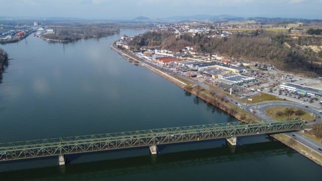 Fledermaus und Mittelspecht: Neubau der Donaubrcke bei Mauthausen verzgert sich erneut