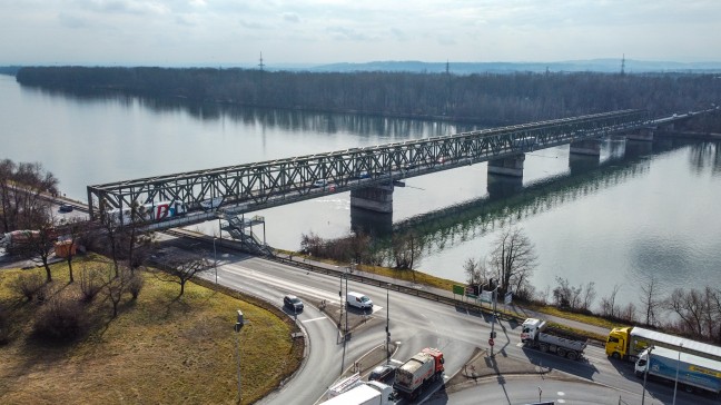 Fledermaus und Mittelspecht: Neubau der Donaubrcke bei Mauthausen verzgert sich erneut