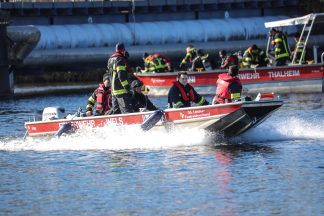 Taucheinsatz: Person in Wels-Schafwiesen nach Hilferufen in der Traun untergegangen