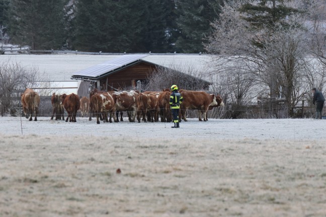 Alarmstufe 2: Wirtschaftstrakt auf Bauernhof in Hinterstoder in Vollbrand