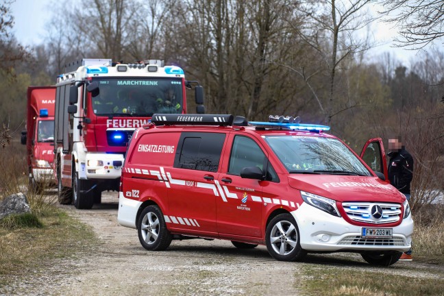 Feuerwehr bei Bergung eines verendeten Schwanes in Weikirchen an der Traun im Einsatz