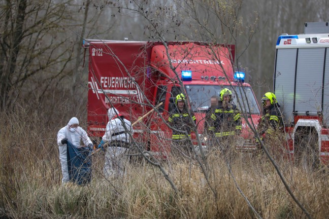 Feuerwehr bei Bergung eines verendeten Schwanes in Weikirchen an der Traun im Einsatz