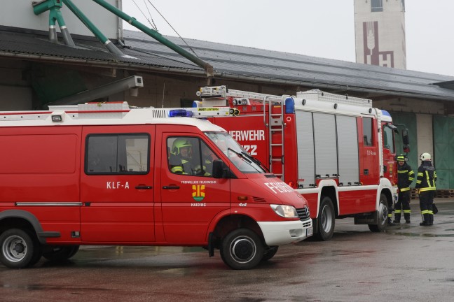 Krenglbach: Feuerwehr rettet Kater "Kurt" aus schmalem Spalt im Tankraum eines Lagerhausgebudes