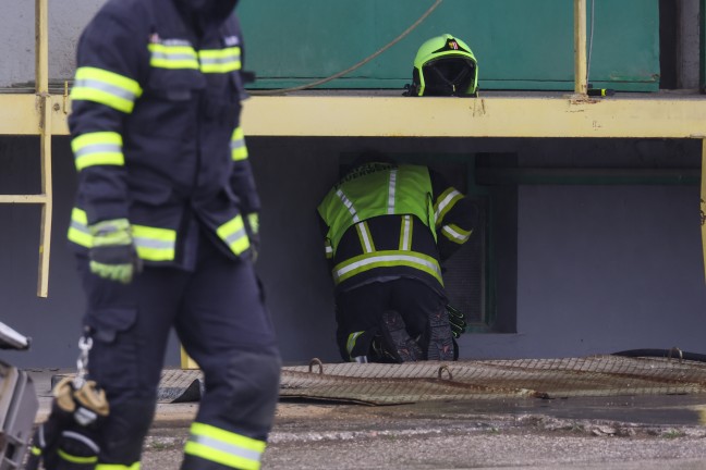 Krenglbach: Feuerwehr rettet Kater "Kurt" aus schmalem Spalt im Tankraum eines Lagerhausgebudes