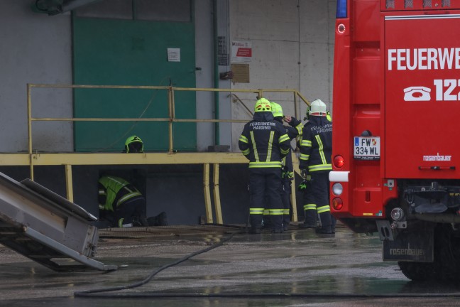 Krenglbach: Feuerwehr rettet Kater "Kurt" aus schmalem Spalt im Tankraum eines Lagerhausgebudes