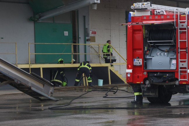 Krenglbach: Feuerwehr rettet Kater "Kurt" aus schmalem Spalt im Tankraum eines Lagerhausgebudes