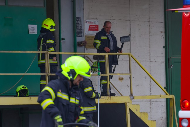 Krenglbach: Feuerwehr rettet Kater "Kurt" aus schmalem Spalt im Tankraum eines Lagerhausgebudes