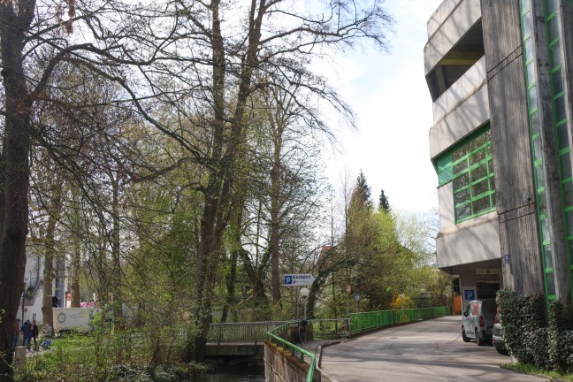 Brutale Jugendgruppe: Jugendliche in Wels-Innenstadt von Gleichaltrigen attackiert und ausgerraubt