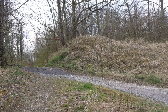 Feuerwehr zu entfachtem Feuer beim Treppelweg entlang der Traun in Wels-Waidhausen alarmiert
