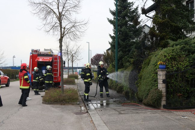 L�schangriff mit Gartenschlauch: Brand eines Baumes drohte in Wels-Vogelweide auf Haus �berzugreifen