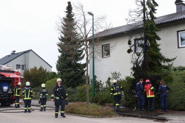 L�schangriff mit Gartenschlauch: Brand eines Baumes drohte in Wels-Vogelweide auf Haus �berzugreifen