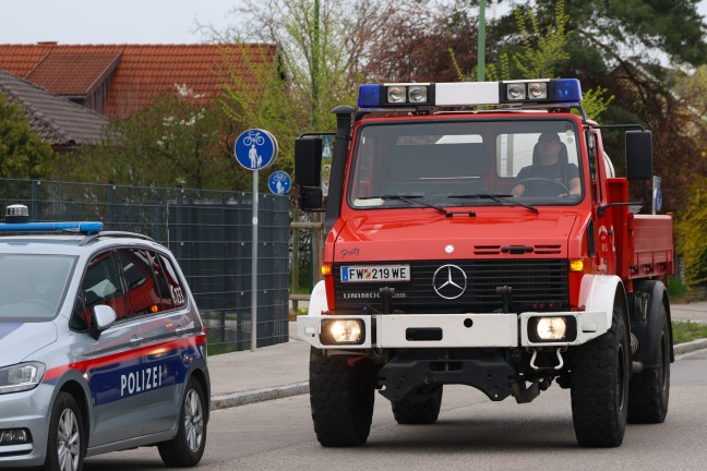 L�schangriff mit Gartenschlauch: Brand eines Baumes drohte in Wels-Vogelweide auf Haus �berzugreifen