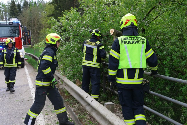 Fhnsturm ber Obersterreich: Rund 80 Einstze der Feuerwehren zumeist aufgrund umgestrzter Bume