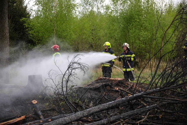 Drei Feuerwehren bei Brand in einem Waldstck in Sipbachzell im Einsatz
