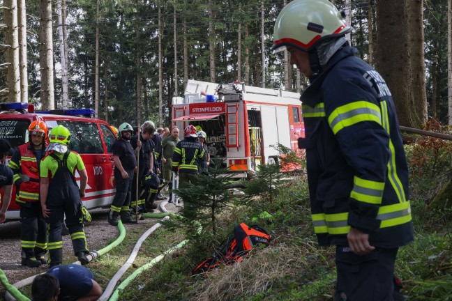 Baum in Hochspannungsleitung: Sechs Feuerwehren bei Waldbrand in Steinbach am Ziehberg im Einsatz