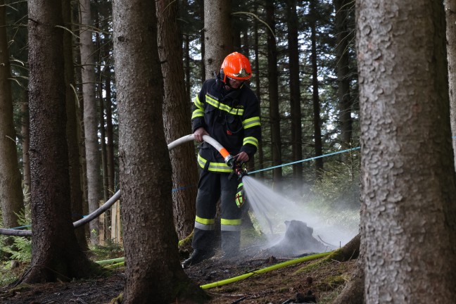 Baum in Hochspannungsleitung: Sechs Feuerwehren bei Waldbrand in Steinbach am Ziehberg im Einsatz