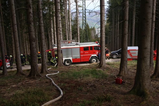 Baum in Hochspannungsleitung: Sechs Feuerwehren bei Waldbrand in Steinbach am Ziehberg im Einsatz