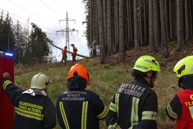 Baum in Hochspannungsleitung: Sechs Feuerwehren bei Waldbrand in Steinbach am Ziehberg im Einsatz