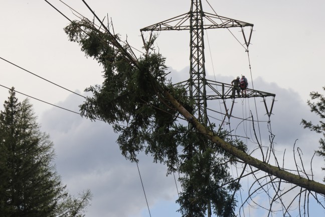 Baum in Hochspannungsleitung: Sechs Feuerwehren bei Waldbrand in Steinbach am Ziehberg im Einsatz