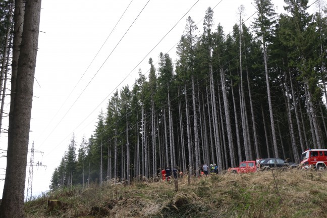 Baum in Hochspannungsleitung: Sechs Feuerwehren bei Waldbrand in Steinbach am Ziehberg im Einsatz