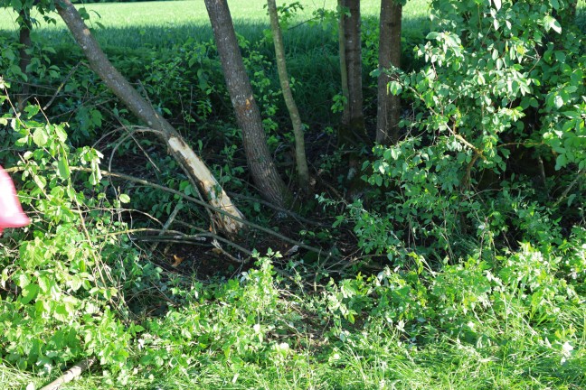 Auto bei Sattledt von schmaler Strae abgekommen und gegen Bume gekracht